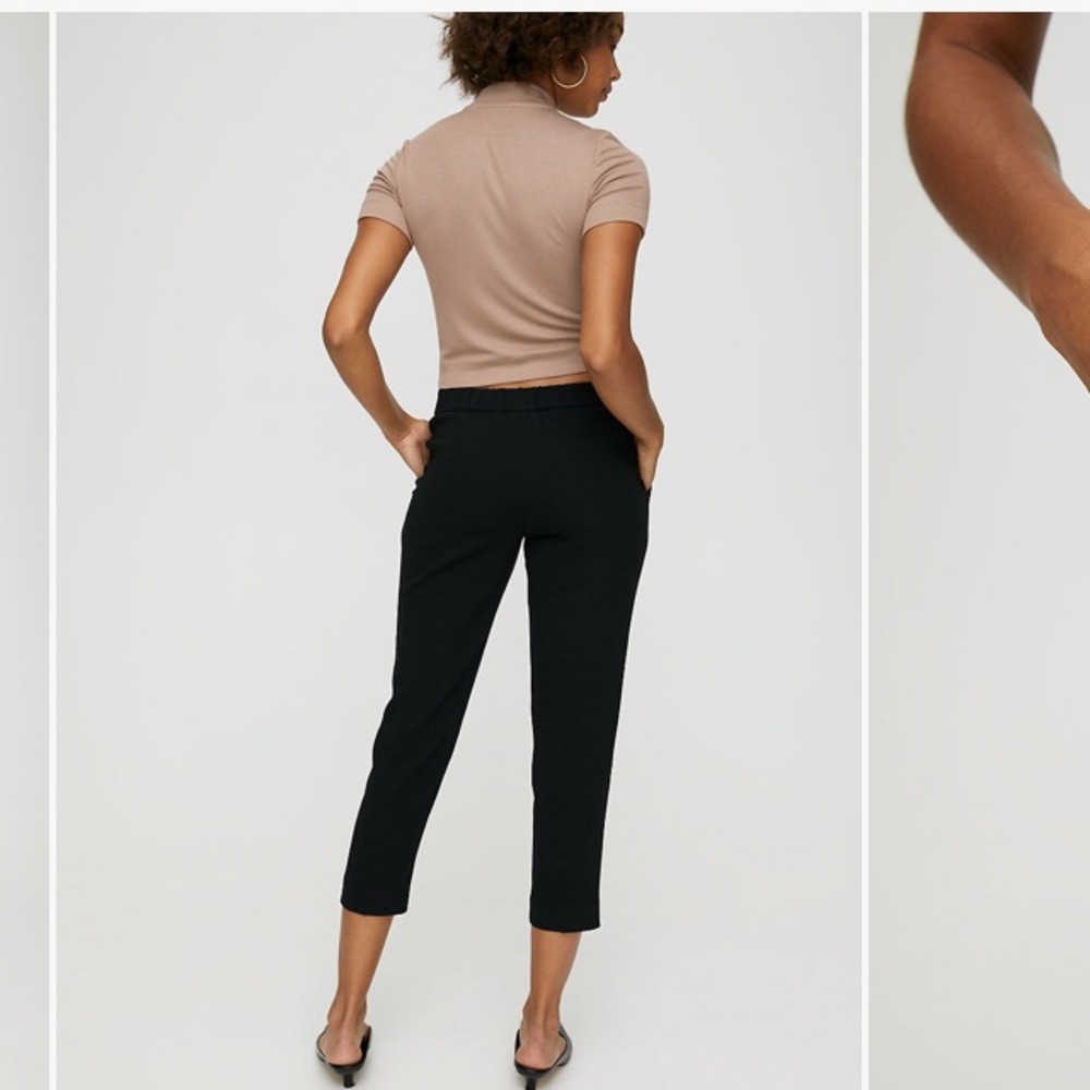 Aritzia Babaton Cohen Pant Terado - Picture 3 of 6